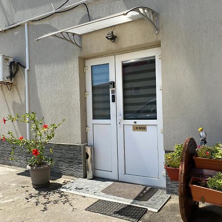 Evergreen Apartment Timisoara Exterior foto