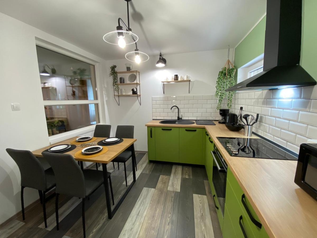 Evergreen Apartment Timisoara Exterior foto